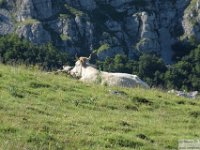 2026-06-20 Sopralluogo Trail Duchessa 038